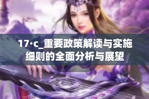 17·c_重要政策解讀與實(shí)施細(xì)則的全面分析與展望
