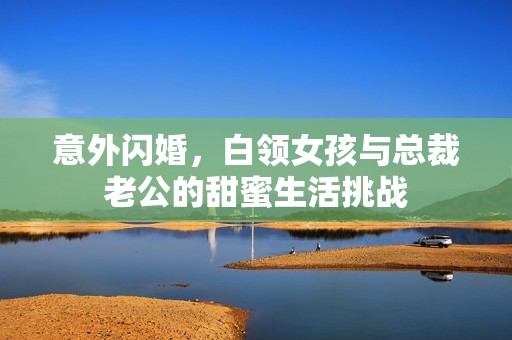 意外閃婚，白領(lǐng)女孩與總裁老公的甜蜜生活挑戰(zhàn)