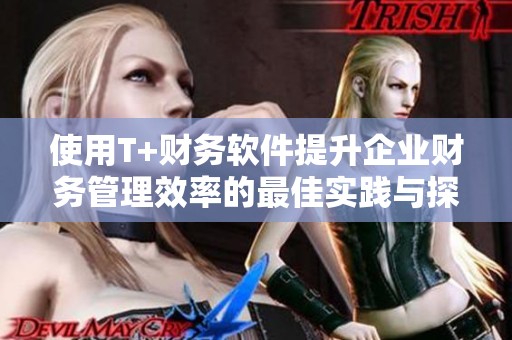 使用T+財(cái)務(wù)軟件提升企業(yè)財(cái)務(wù)管理效率的最佳實(shí)踐與探索 使用T+財(cái)務(wù)軟件提升企業(yè)財(cái)務(wù)管理效率的最佳實(shí)踐與探索
