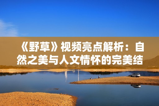 《野草》視頻亮點解析：自然之美與人文情懷的完美結(jié)合