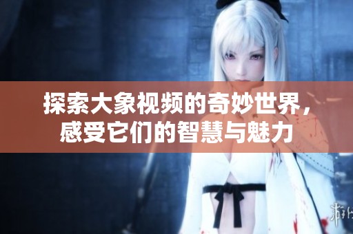 探索大象視頻的奇妙世界，感受它們的智慧與魅力