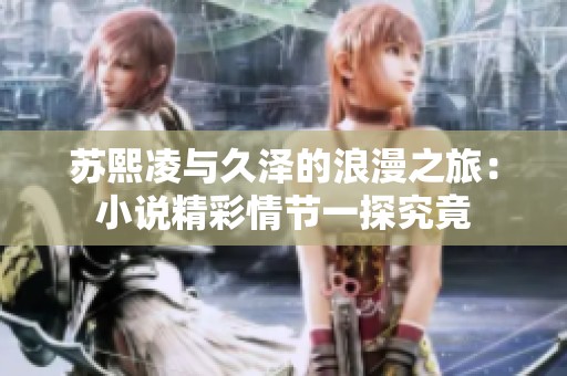 蘇熙凌與久澤的浪漫之旅：小說精彩情節(jié)一探究竟