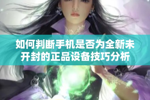 如何判斷手機是否為全新未開封的正品設(shè)備技巧分析