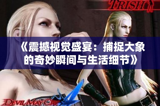 《震撼視覺(jué)盛宴：捕捉大象的奇妙瞬間與生活細(xì)節(jié)》