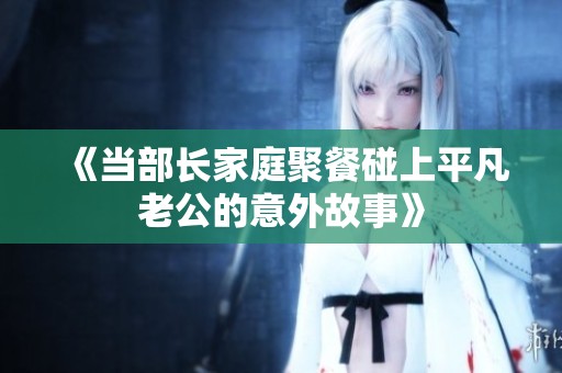 《當(dāng)部長(zhǎng)家庭聚餐碰上平凡老公的意外故事》